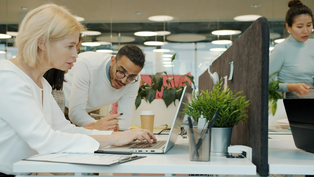diverse business team